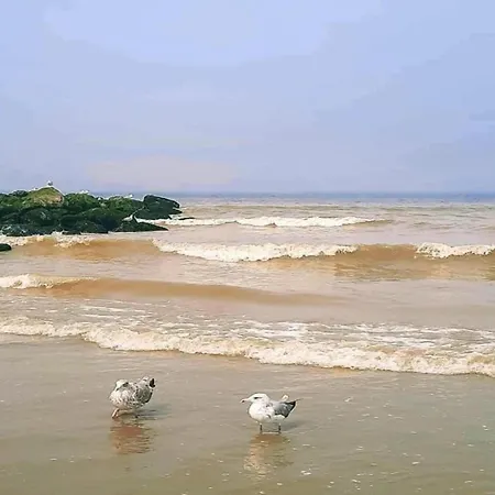 Romantic Coastal Escape, Cleaning Included Nieuwpoort