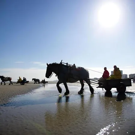 Romantic Coastal Escape, Cleaning Included Lägenhet Nieuwpoort